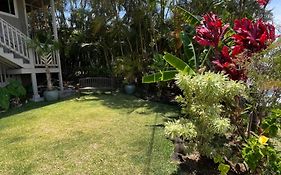 Private Ohana On The Lush Hamakua Coast With Ac